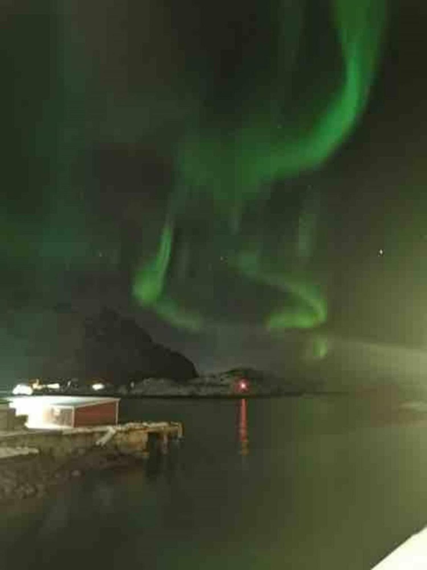Ny Leilighet I Henningsvaer! Εξωτερικό φωτογραφία